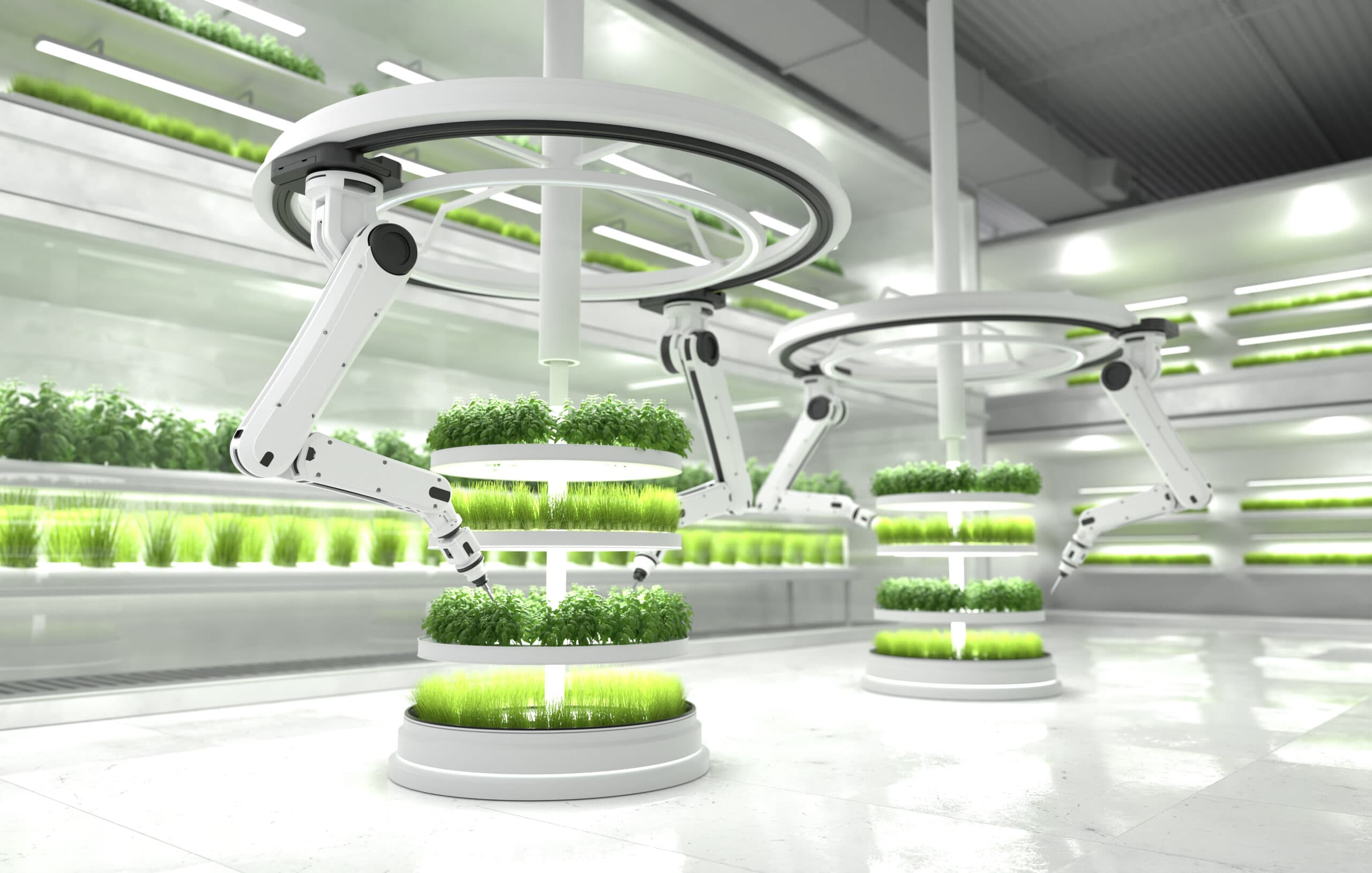 Aeroponics in space